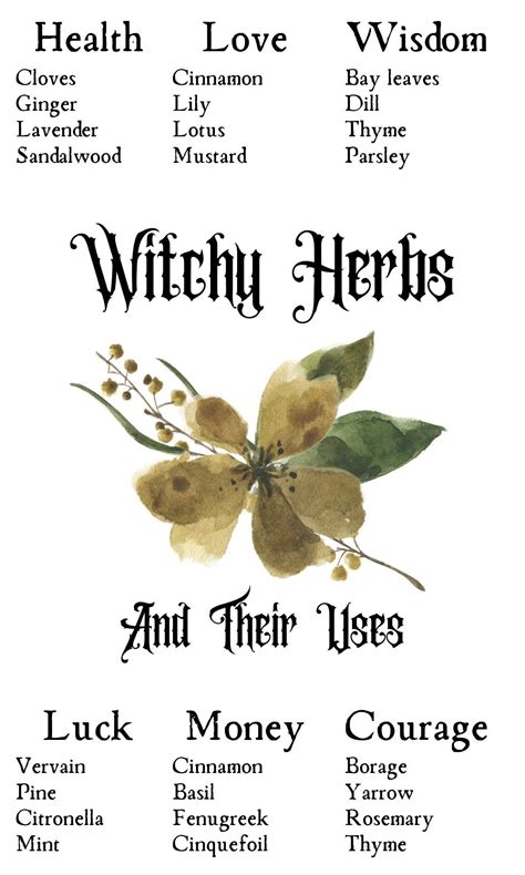 Herbs And Plants For Witchcraft Earth Element Herbs Artofit