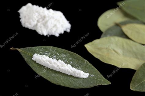 Cocaine on Coca Leaves — Stock Photo © ildi_papp #6394725