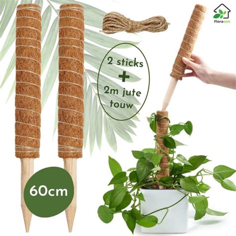 Floracon Mosstok X Cm Kokosvezel Incl Cm Jute Touw