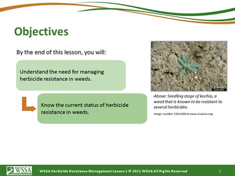 Current Status Of Herbicide Resistance In Weeds Cotton Incorporated