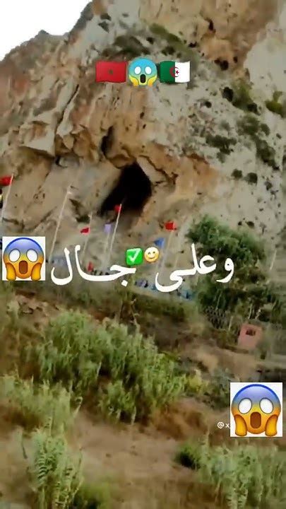 شاهد ماذا فعل بعض الجزائرين في الحدود الجزائرية🇩🇿المغربية🇲🇦😱😱🤬🔥😱 Youtube