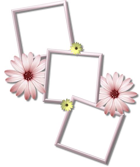 Collage Frame Png Hd Png Pictures Vhv Rs