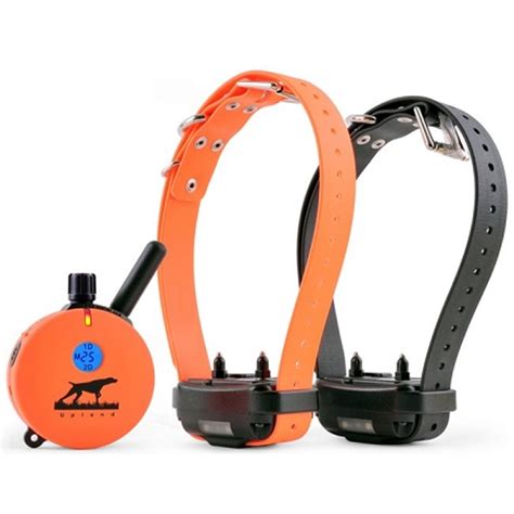 E Collar 2 Dog 1 Mile Plus Upland Hunting Dog Remote Trainer Eoutletdeals