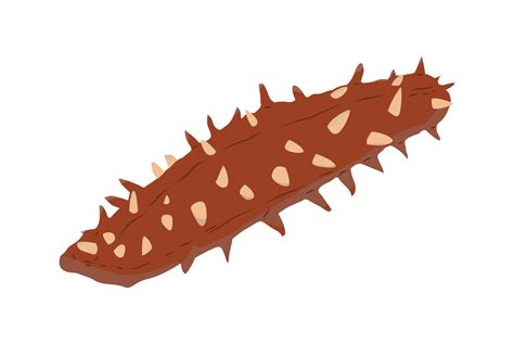 Sea Cucumber Vector Design Fill Grafik Von Goodvilleid Creative Fabrica