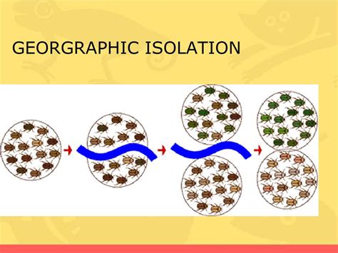 PPT - EVOLUTION NOTES PowerPoint Presentation, free download - ID:2033347