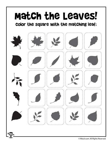 Leaf Shape Matching Exercise Woo Jr Kids Activities Fall