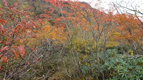 『紅葉と秘湯を訪ねて奥栃木へ 1．紅葉の那須岳』那須栃木県の旅行記・ブログ By 万歩計さん【フォートラベル】