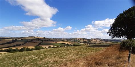 Toms Walks 21 Raddon Top To Thorverton Crediton In And Around