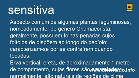 O Que Significa Sensitiva - Significado de Sensitivas