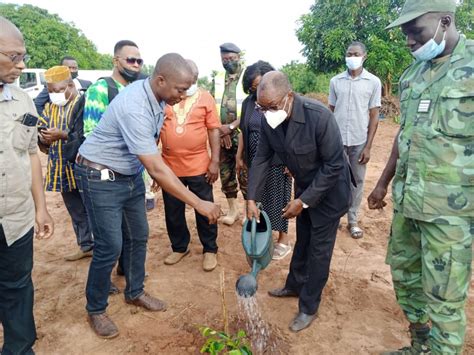 Journée de larbre 2022 au Togo Le 1er juin marqué par une opération