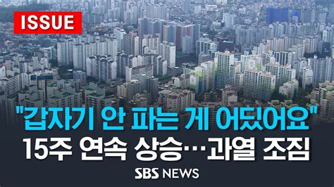 갑자기 안 파는 게 어딨어요 15주 연속 상승 과열 조짐에 불안 확산 이슈라이브 SBS YouTube