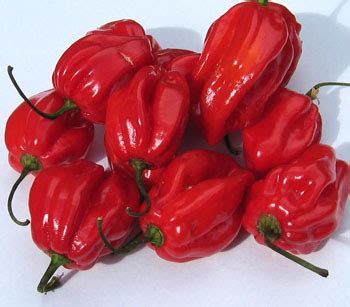 Habanero Chili - Fruits And Vegetables