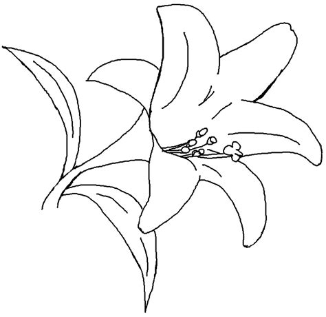 5 Best Images Of Flower Coloring Pages Printable Lilies Printable