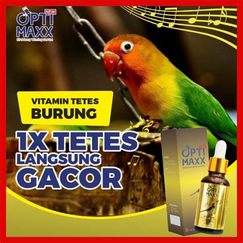 Jual Optimaxx Optimax Obat Vitamin Tetes Burung Kicau Penggacor Burung