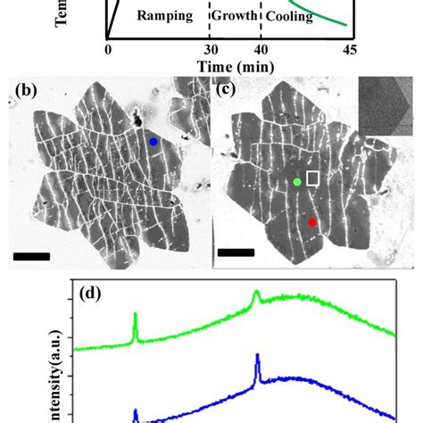 A Lpcvd Synthesis Parameters Used For The Wrinkled Graphene