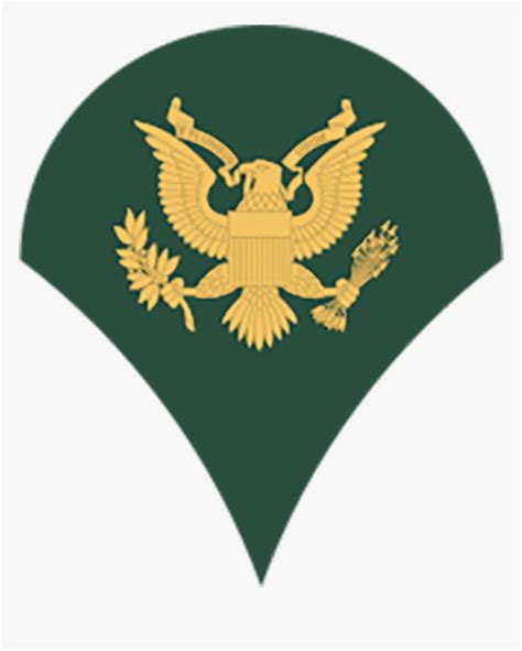 specialist specialist army rank hd png  kindpng