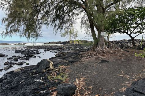 Richardson Ocean Park Guide Snorkeling Exploring This Black Sand