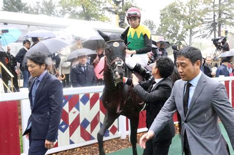 凱旋門賞11着のタイトルホルダー 7日に帰国予定 栗田師「仕方ない」競馬・レースデイリースポーツ Online