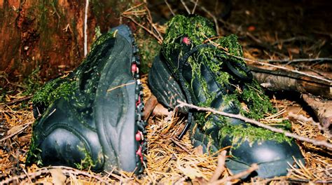 This Is The Dark Side Of Aokigahara Forest AKA The Suicide Hotspot Of ...