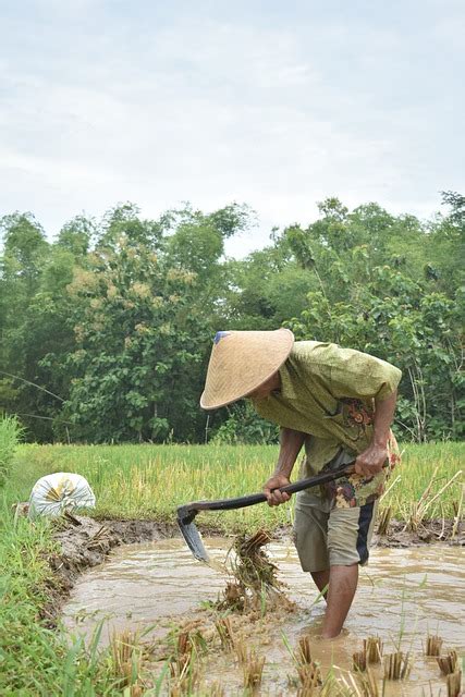 Gambar Petani Bawa Cangkul ~ Gambar Peta | Porn Sex Picture