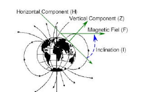 Relationship between the magnetic field and inclination. (Adapted from ...