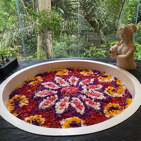 kaveri spa   udaya ubud updated