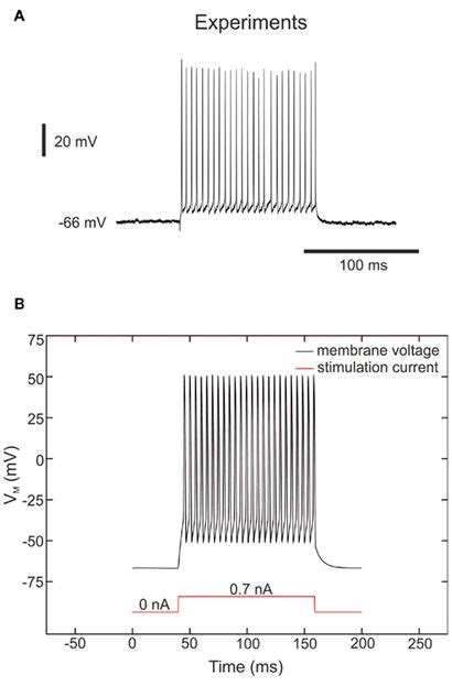 Frontiers Tunable Neuromimetic Integrated System For Emulating