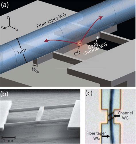 A Schematic Of The Nanophotonic Directional Coupler For Single Photon