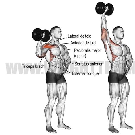 Single Arm Shoulder Press