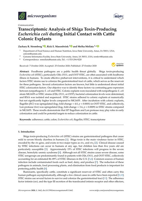 Pdf Transcriptomic Analysis Of Shiga Toxin Producing Escherichia Coli