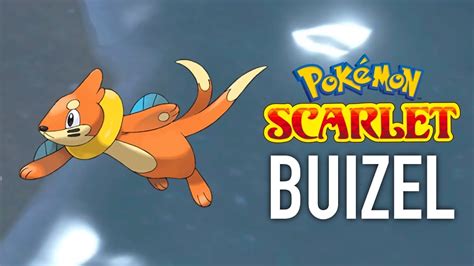 Pokemon Scarlet Catching Buizel Filling The Pokedex Youtube