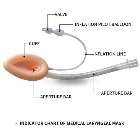 Disposable Reinforced Flexible Silicone Airway And Laryngeal Mask For