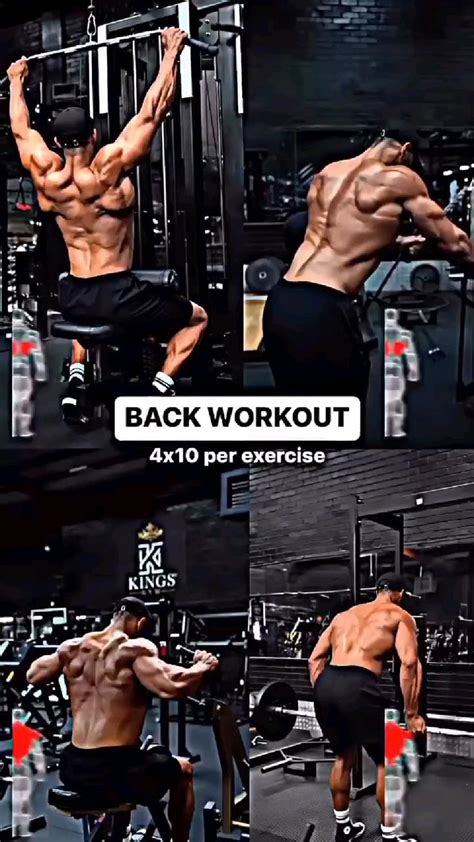 Back workout | Rutinas de entrenamiento, Ejercicios de entrenamiento, Ejercicios musculacion