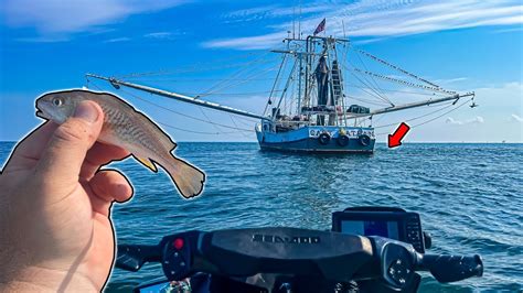 I Tossed A LIVE BAIT Behind This Shrimp Boat And INSTANTLY HOOKED UP To