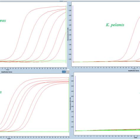 Serial Dilution Of Dna From Different Species Ng L Ng L