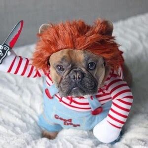 CHUCKY PET COSTUME Funny Pet Costume, Chucky Dog Costume, Pet Cosplay, Party Dog Costume, Dog ...