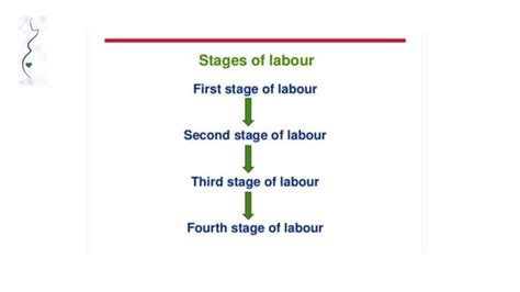 LABOR AND ITS STAGES | PPT