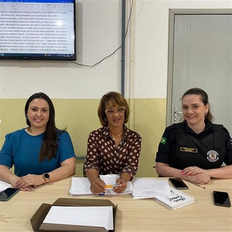 Conselho Municipal Dos Direitos Da Mulher OAB Arapongas