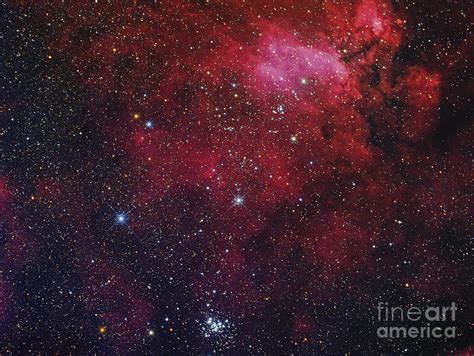 Open Cluster Ngc The Prawn Nebula Photograph By Roberto Colombari