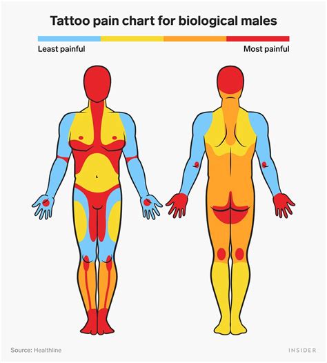 Tattoo Pain Chart Least Most Painful Places To Get A Tattoo Artofit