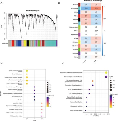 Wgcna Analysis A Clustering Dendrogram Of The First 3000 Genes B