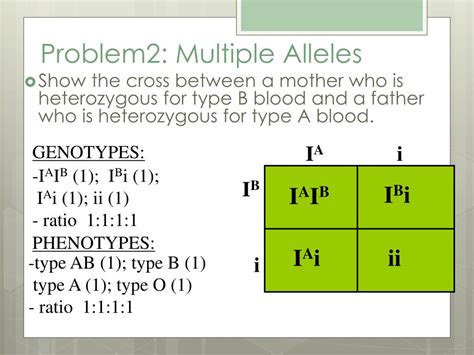 Ppt Genetics Multiple Alleles Powerpoint Presentation Free Download