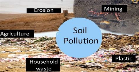 Soil Contamination - Assignment Point