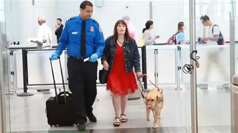 TSA on Twitter: "VIDEO: Traveling with a guide dog? Learn how #TSACares ...