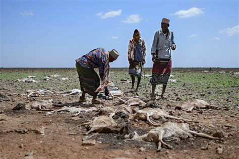 In Africa, Conflict and Climate Super-Charge the Forces Behind Famine
