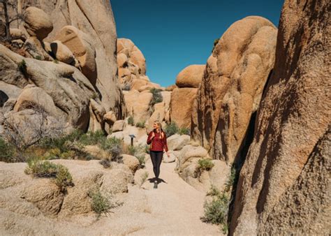 Best Joshua Tree National Park Hikes Fun Life Crisis