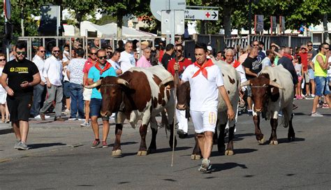 Tercer Encierro De Las Fiestas De Tudela De Duero El Norte De Castilla