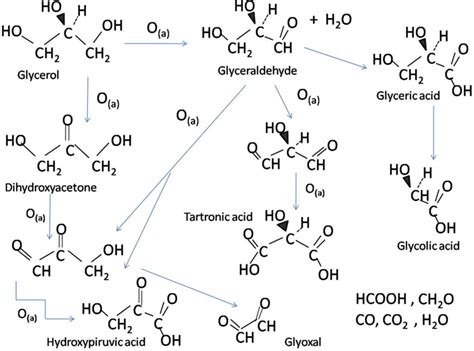 Possible Reaction Pathways For Glycerol Oxidation And Decomposition On