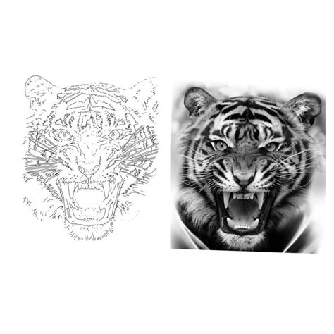 a tiger with its mouth open next to a drawing of a tiger's face