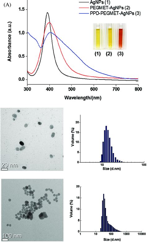 A Visual Colors And Uv Vis Spectra Of Aqueous Agnp Peg